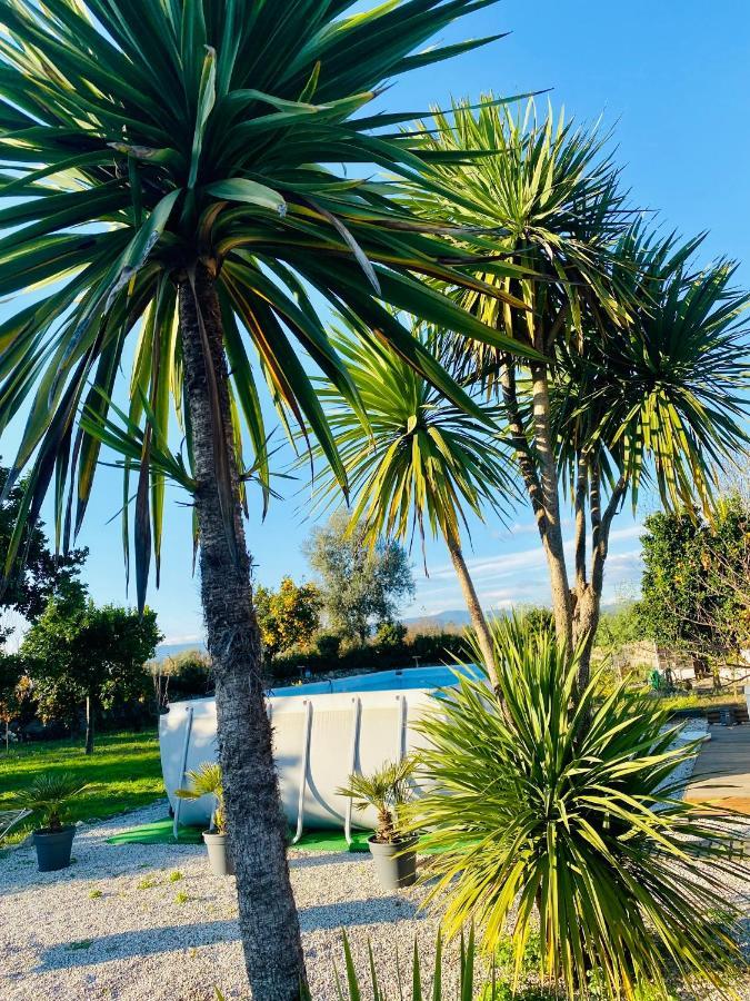 Quinta De Areias Bed & Breakfast Crespos Luaran gambar