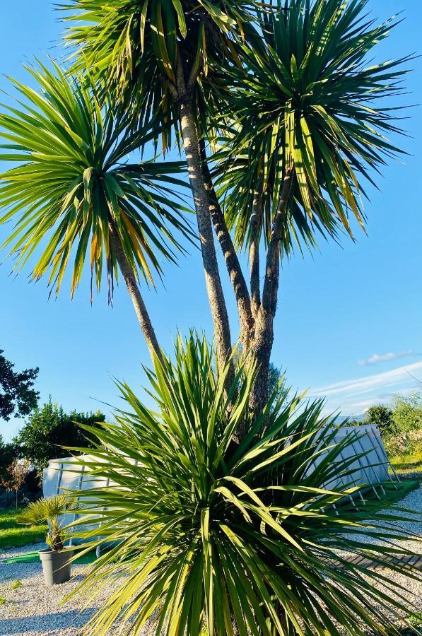 Quinta De Areias Bed & Breakfast Crespos Luaran gambar