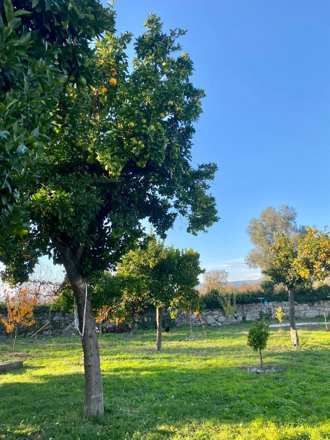 Quinta De Areias Bed & Breakfast Crespos Luaran gambar