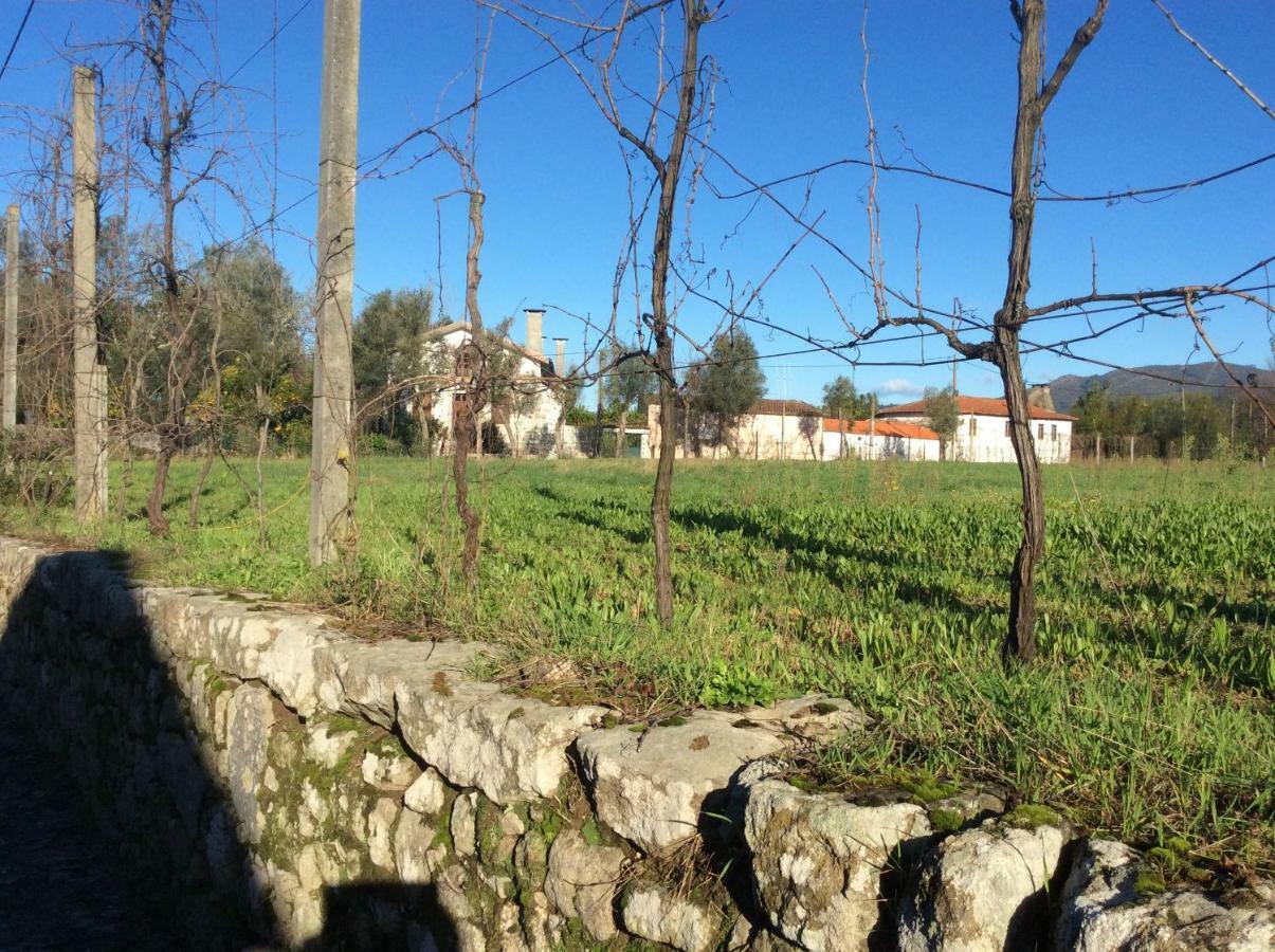 Quinta De Areias Bed & Breakfast Crespos Luaran gambar