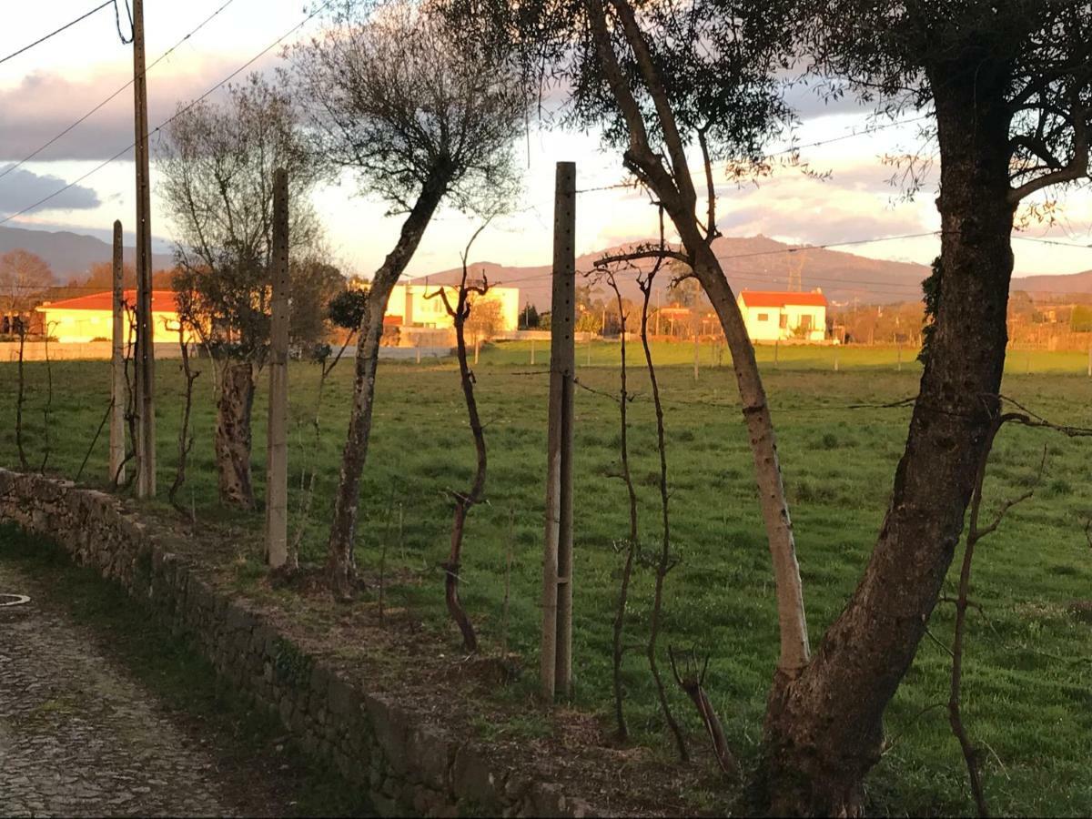 Quinta De Areias Bed & Breakfast Crespos Luaran gambar